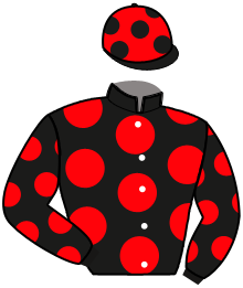 Casaque de NATIE DU POMMEREUX