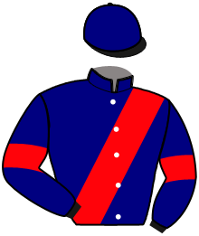 Casaque de MY MILLION D'ANSY