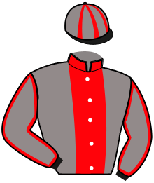 Casaque de ORACE DES MOLLES