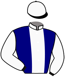Casaque de NELSON DU SEUIL