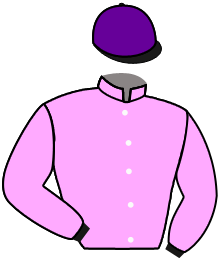 Casaque de DREAM D'ARMOR