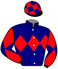 Casaque de BLACK ARMOR